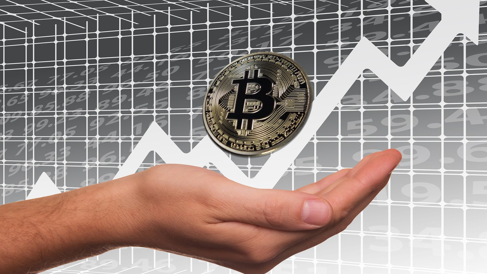 bitcoin coins stonk