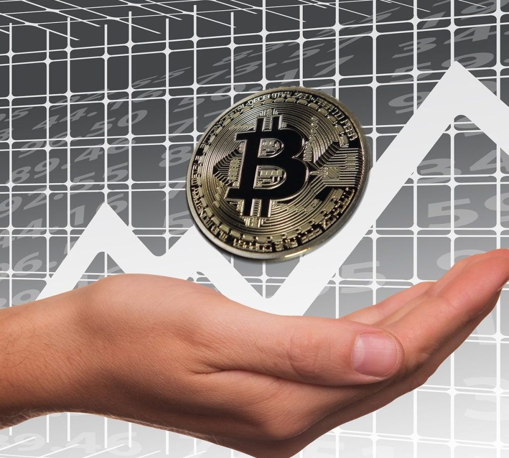 bitcoin coins stonk
